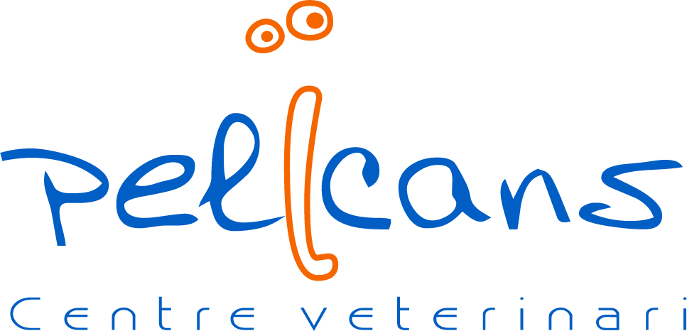 centro-veterinario-pelicans-02